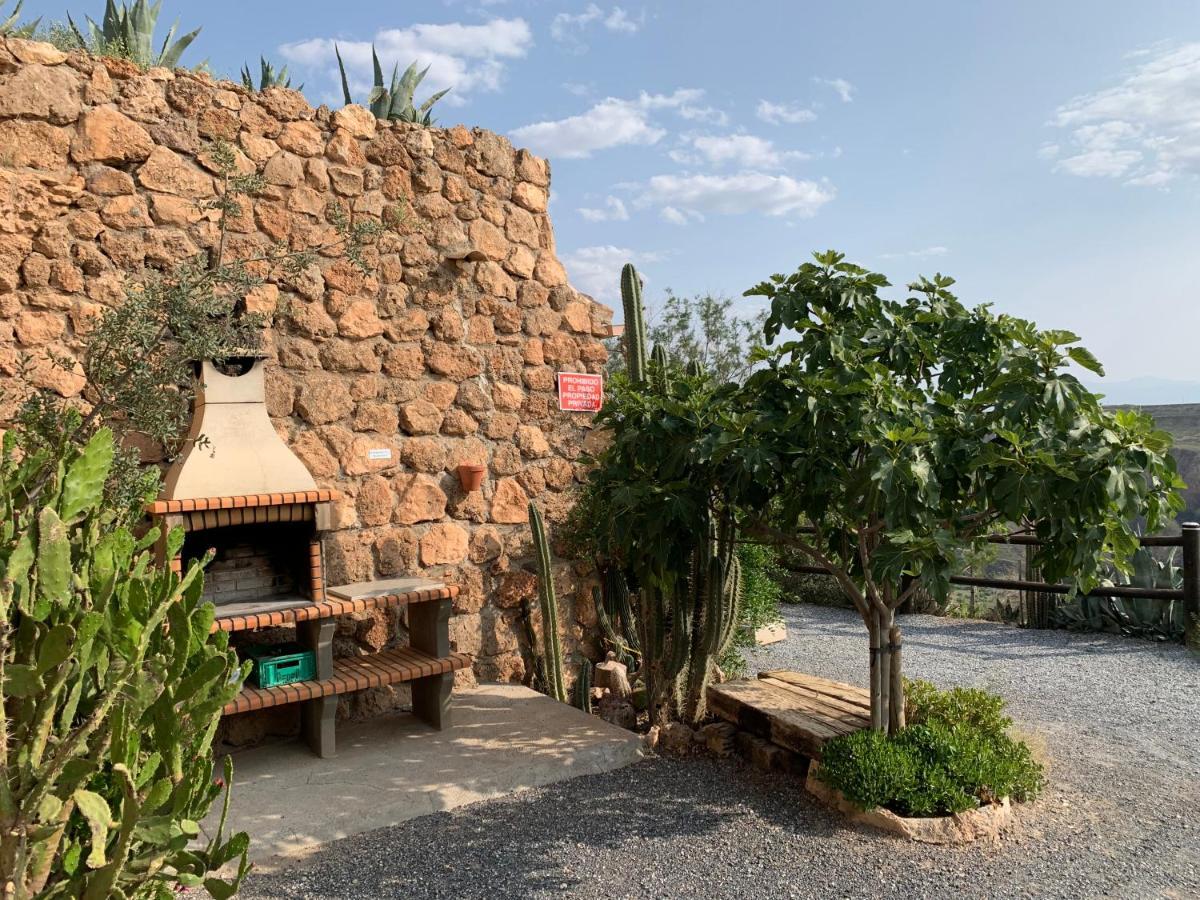 Cuevas El Torriblanco Guest House Gorafe ภายนอก รูปภาพ