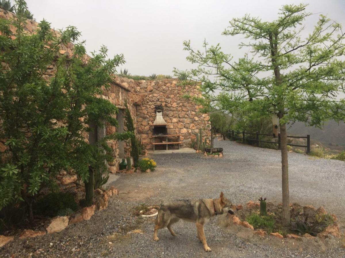 Cuevas El Torriblanco Guest House Gorafe ภายนอก รูปภาพ